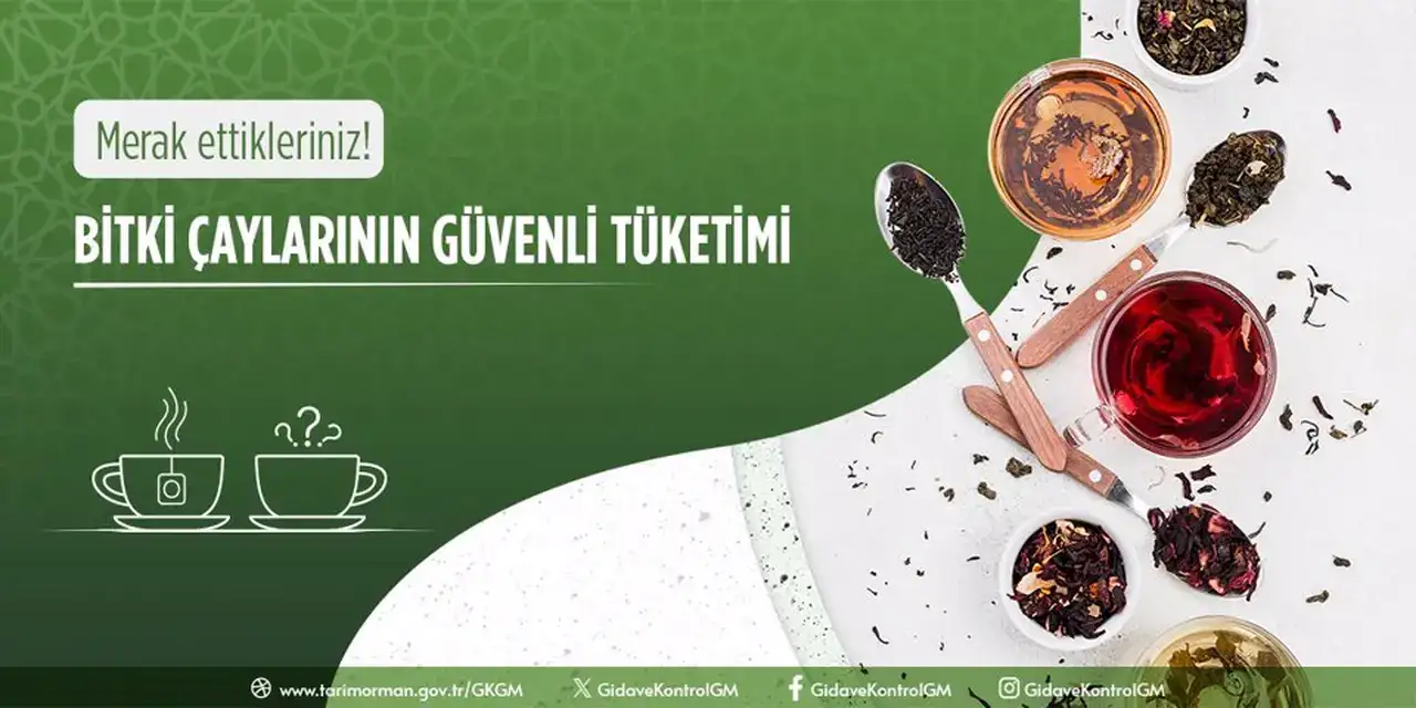 Bitki Çaylarının Güvenli Tüketimi Rehberi 2